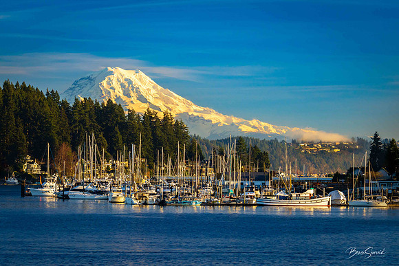Gig Harbor 2