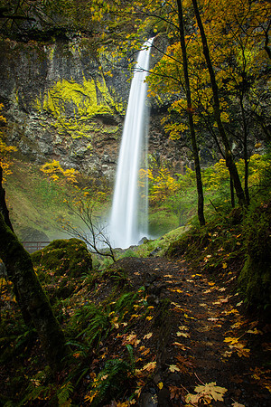 Elowah Falls