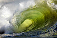 Surfer's Dream