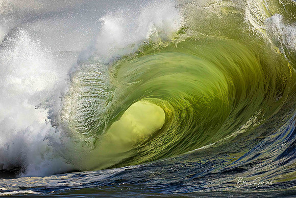 Surfer's Dream