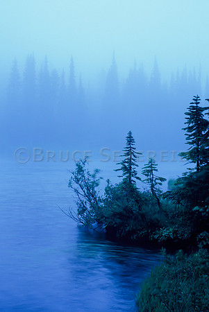calm, fog, foggy, mist, misty, quiet, tranquil, cool