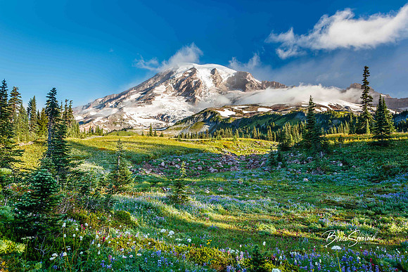 Mazama Morning
