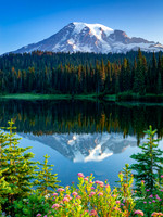Rainier Reflection