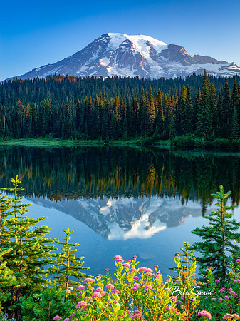 Rainier Reflection