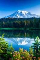 Rainier Reflection