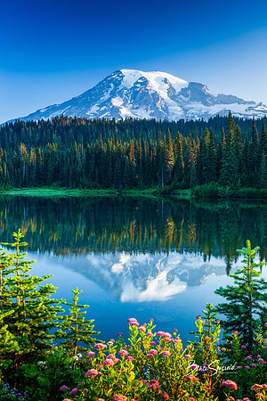 Rainier Reflection