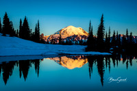 Morning Light on Mt Rainier