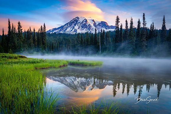 Rainier Rainier