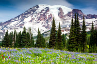 Mountainous Bouquet