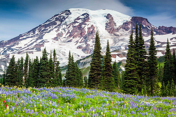 Mountainous Bouquet
