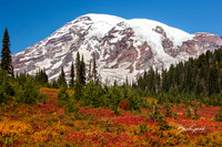 Autumn Glory at Paradise