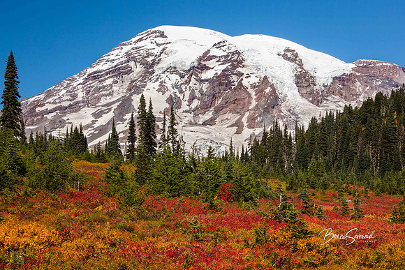 Autumn Glory at Paradise