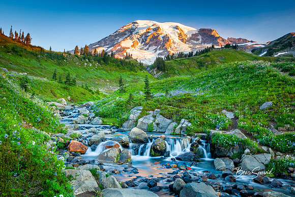 Edith Creek and Mt Rainier