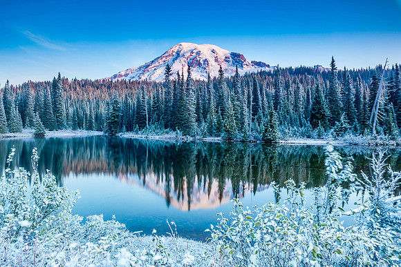 Frosty Morning
