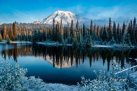 Chilly Reflection