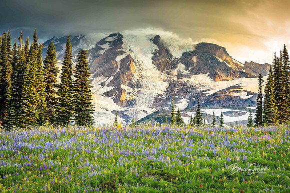 Moody Mountain