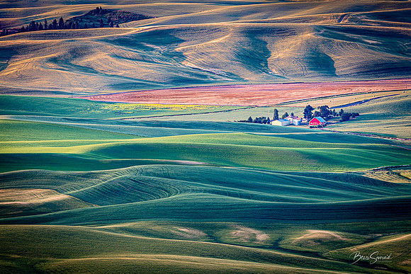Steptoe View of the Palouse