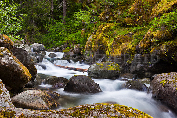 Nickel Creek