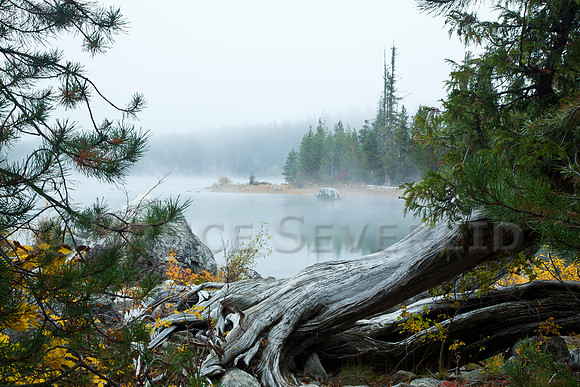 Lake Wenatchee, lake, quiet, calm, mist, misty, fog, foggy, lake